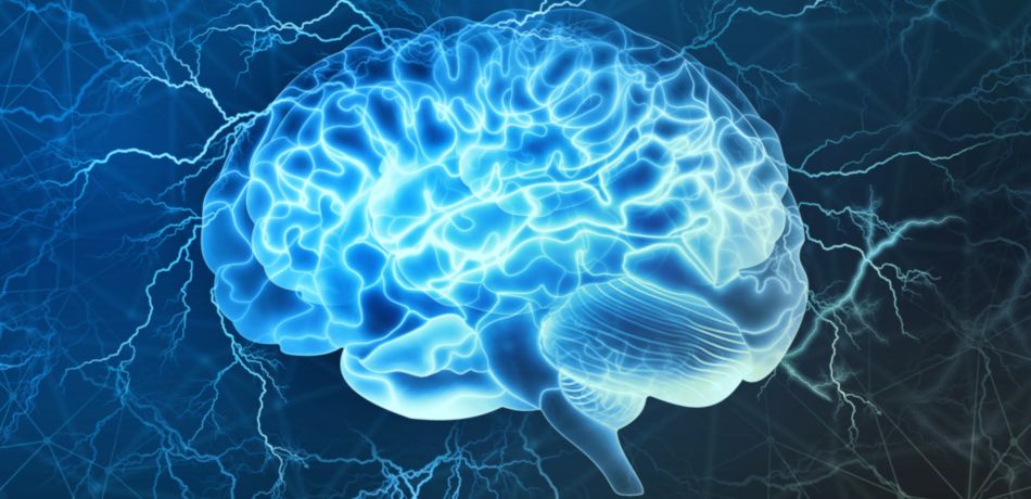 Lidské mozkové buňky se učí Pong rychleji než umělá inteligence